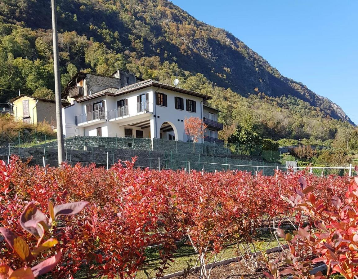 Guest House Le Cassandre Sondrio Bagian luar foto